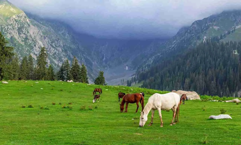 kalam-valley